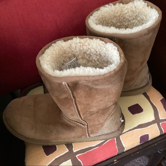 Classic calf leg length tan UGGs - Picture 5 of 11